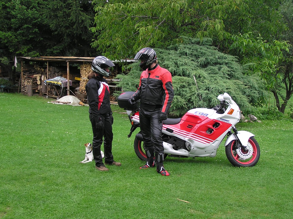 img00003.jpg