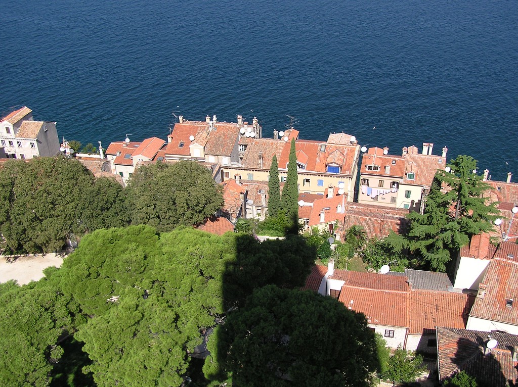 img00016.jpg