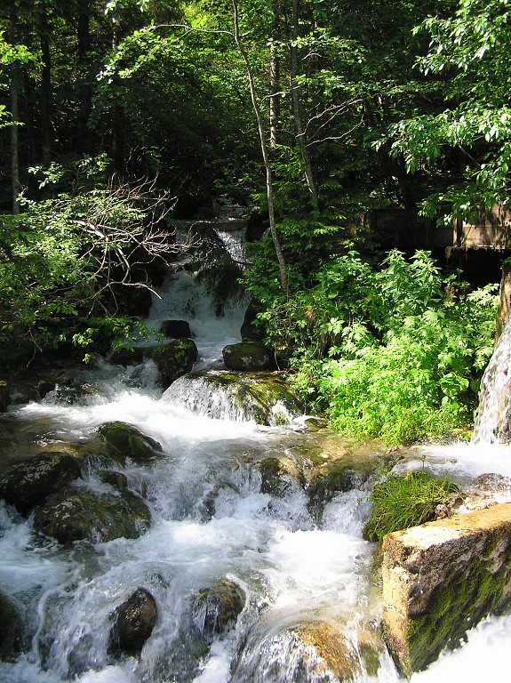 img00018.jpg