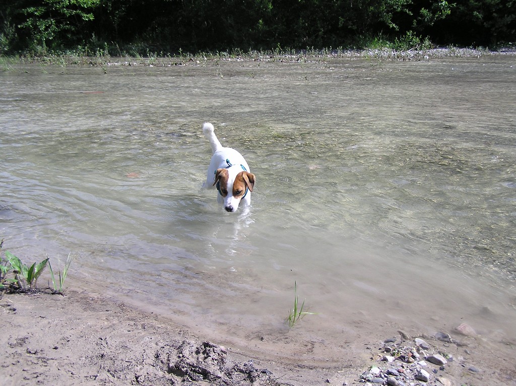 img00022.jpg