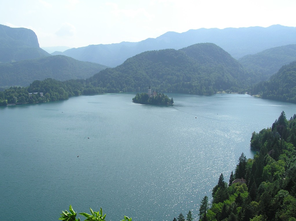 img00041.jpg