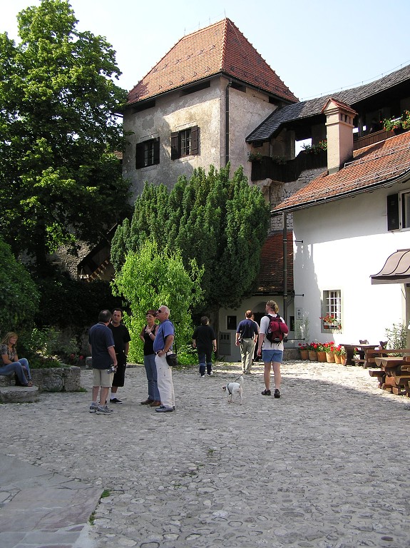 img00046.jpg