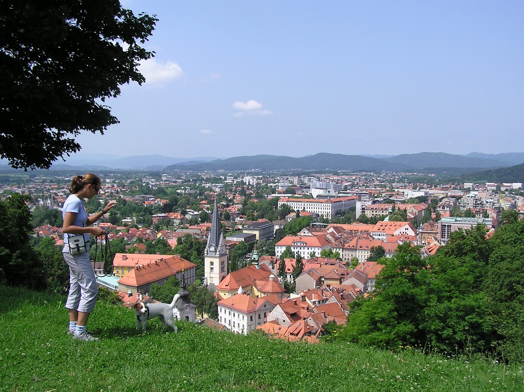 img00055.jpg