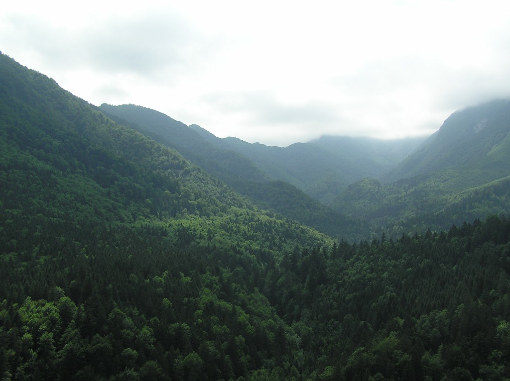 img00073.jpg