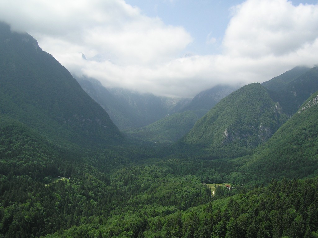 img00074.jpg