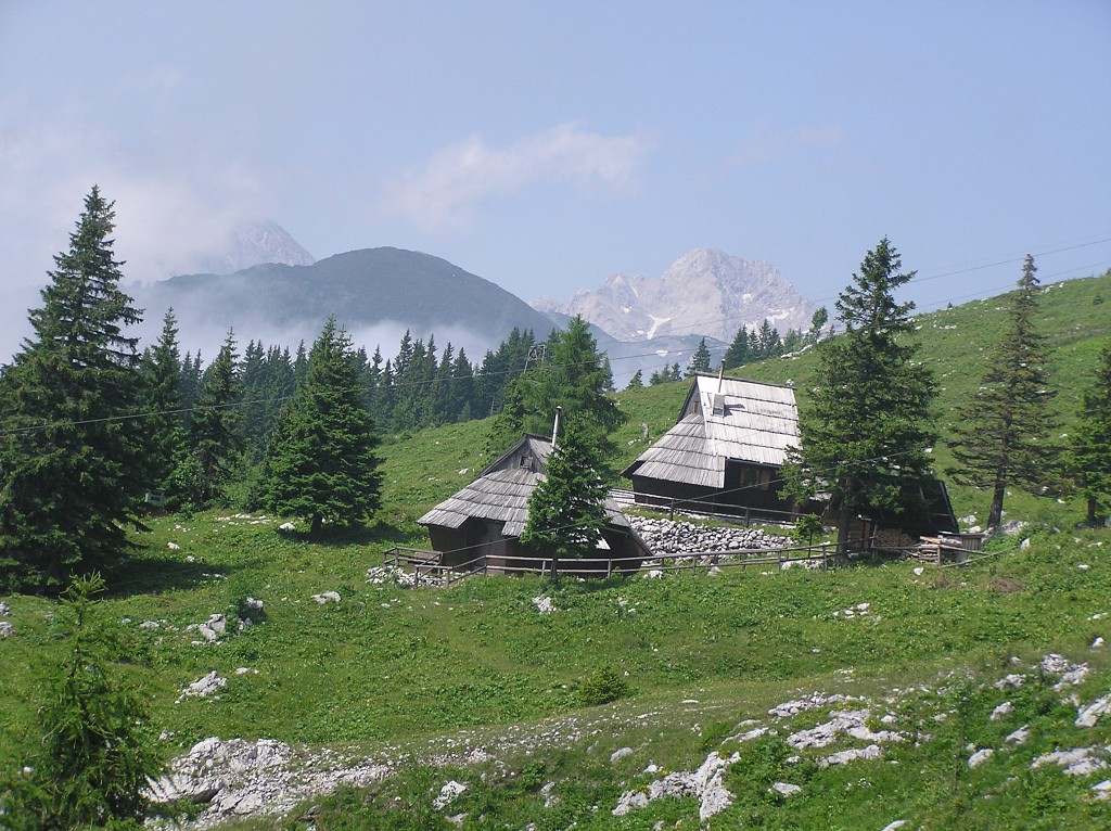 img00083.jpg
