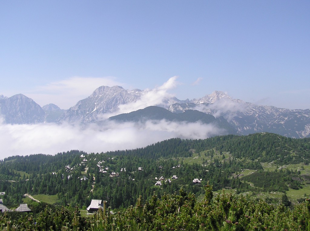 img00091.jpg