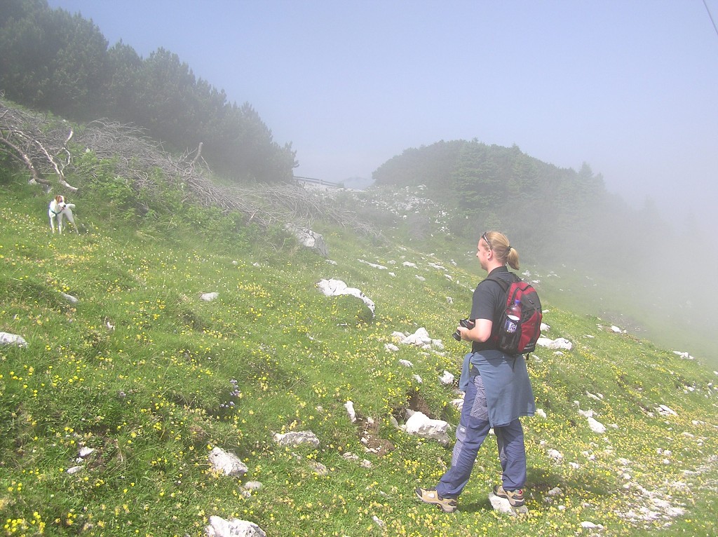 img00095.jpg