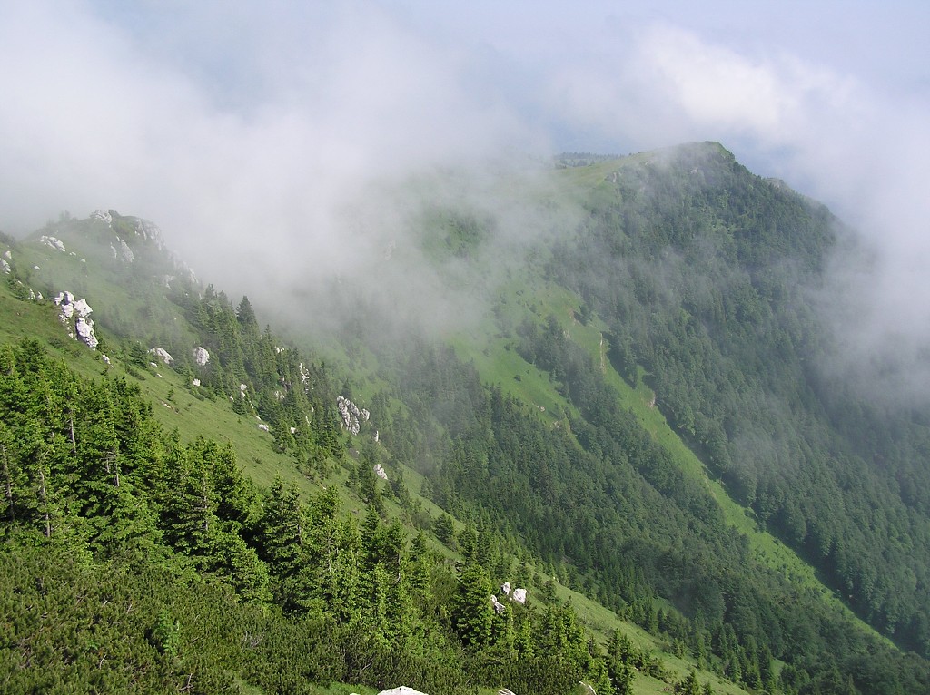 img00099.jpg