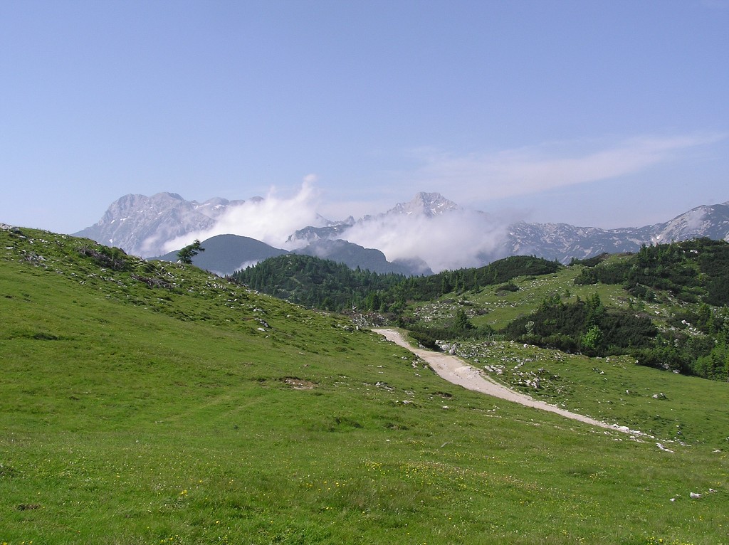 img00102.jpg