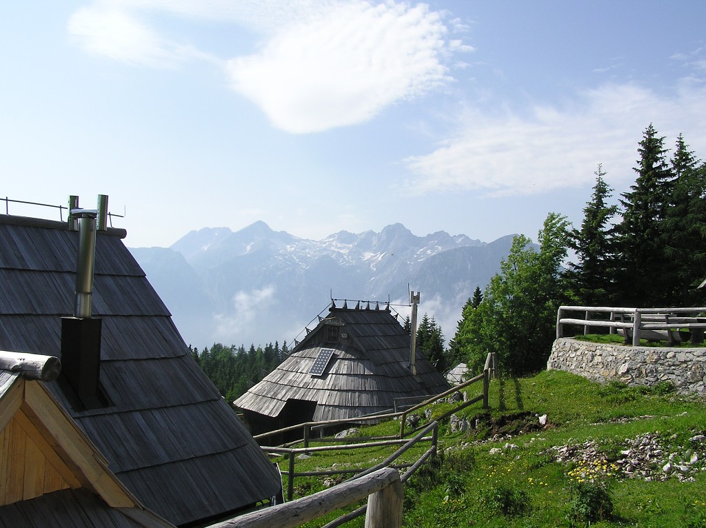 img00111.jpg