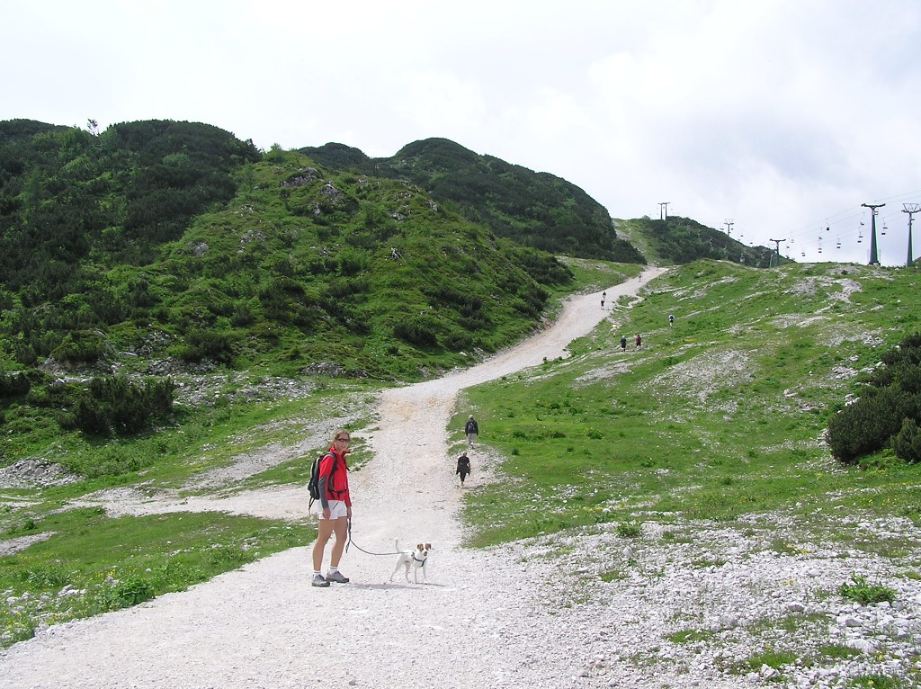 img00120.jpg