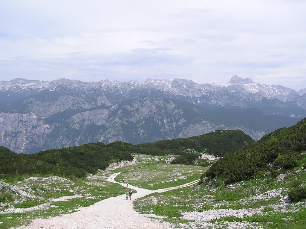 img00121.jpg