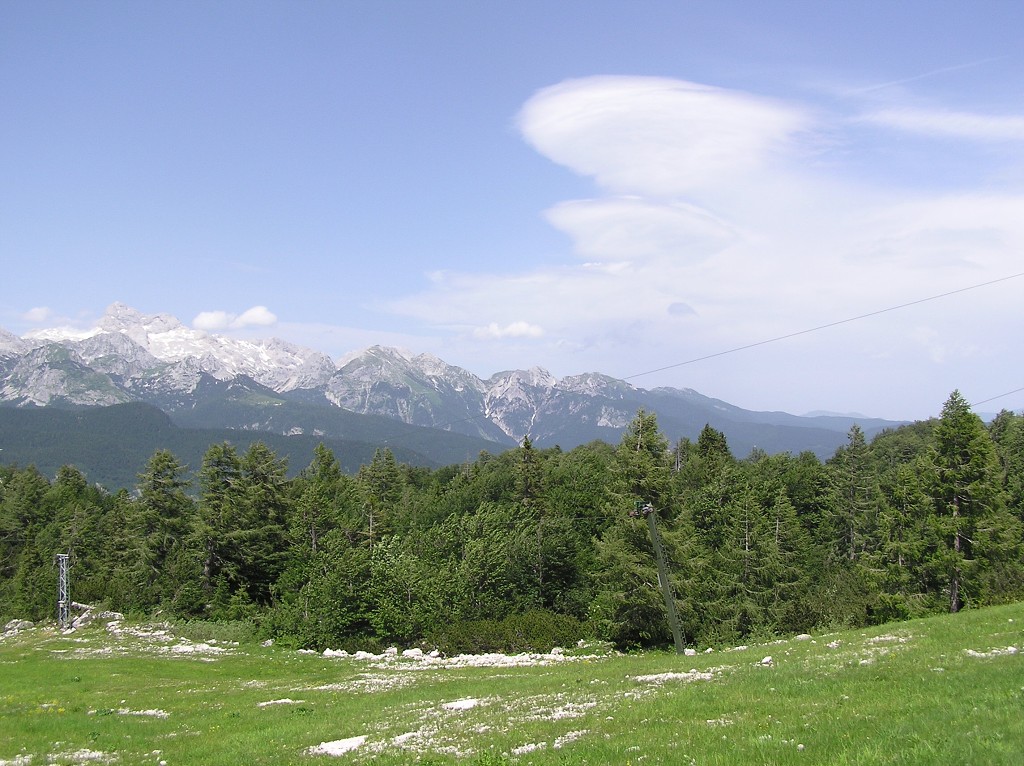 img00139.jpg