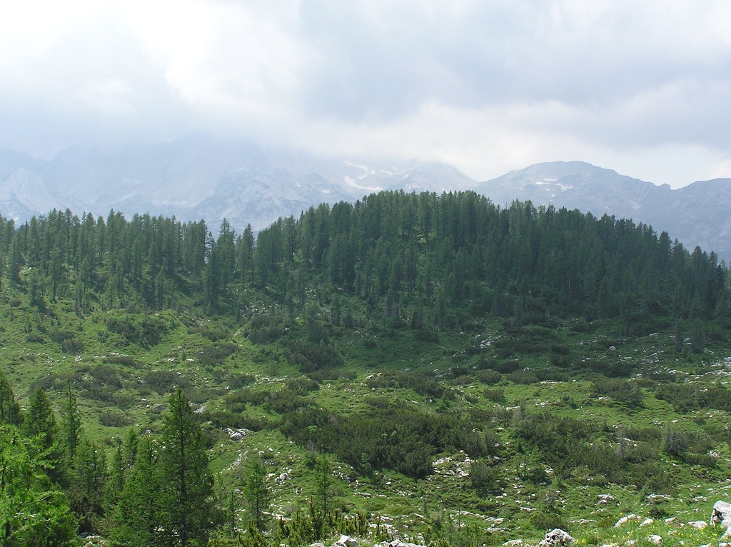 img00183.jpg