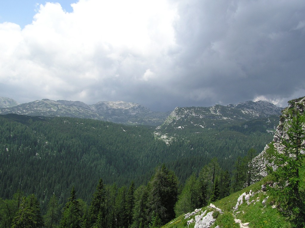 img00186.jpg