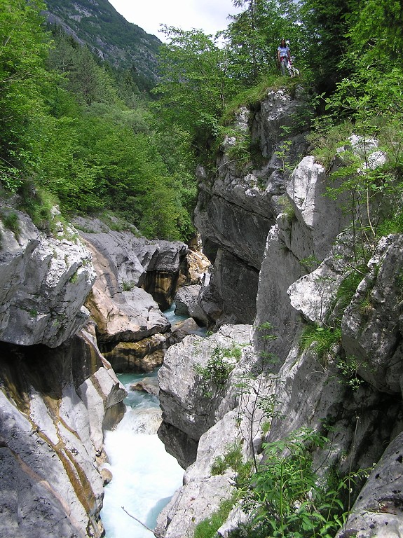 img00220.jpg