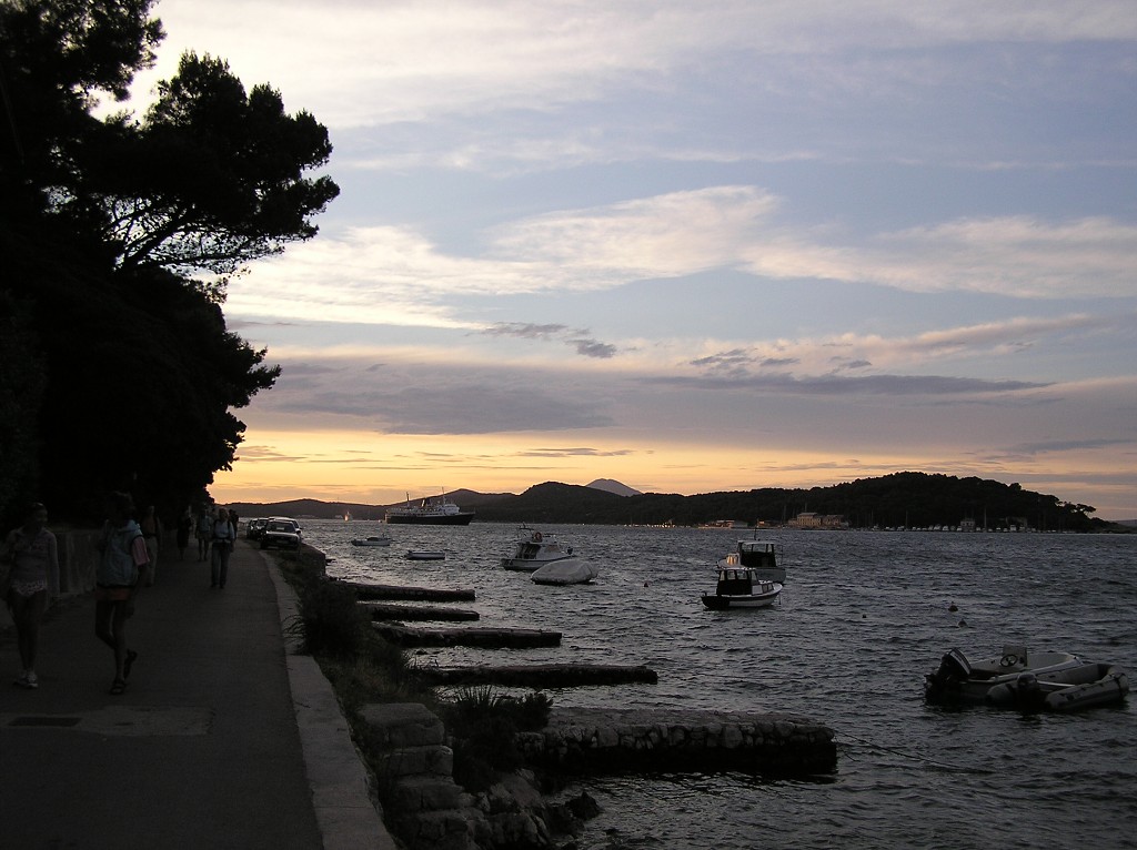 img00231.jpg