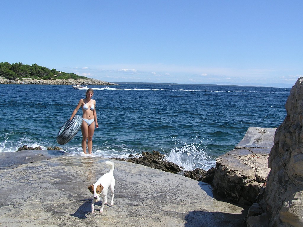 img00240.jpg