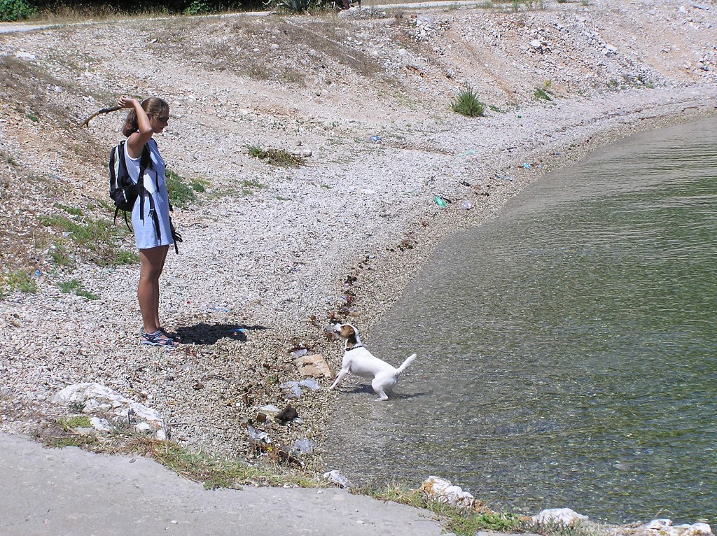 img00248.jpg