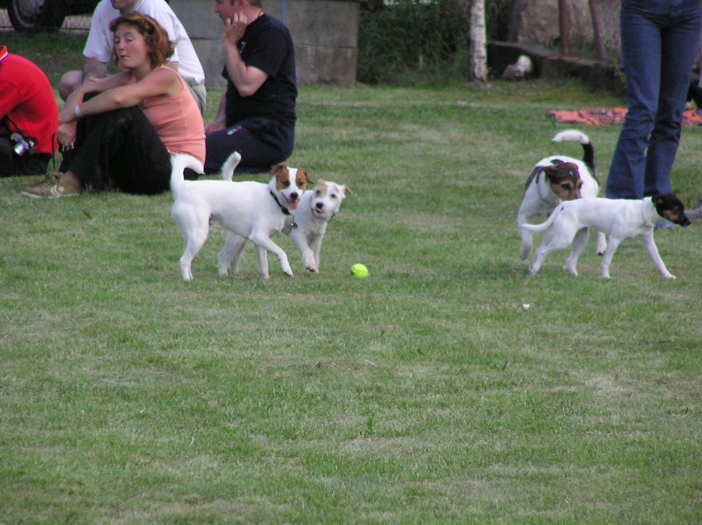 img00016.jpg