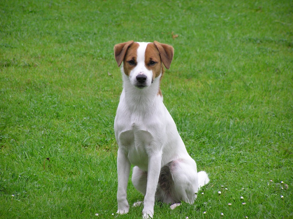 img00020.jpg