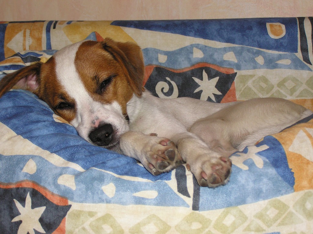 img00021.jpg