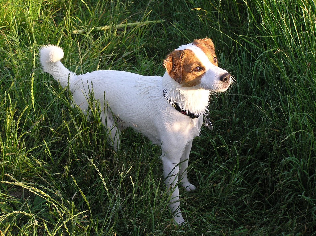 img00023.jpg