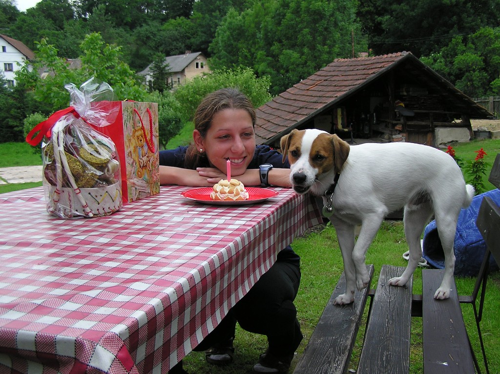 img00030.jpg
