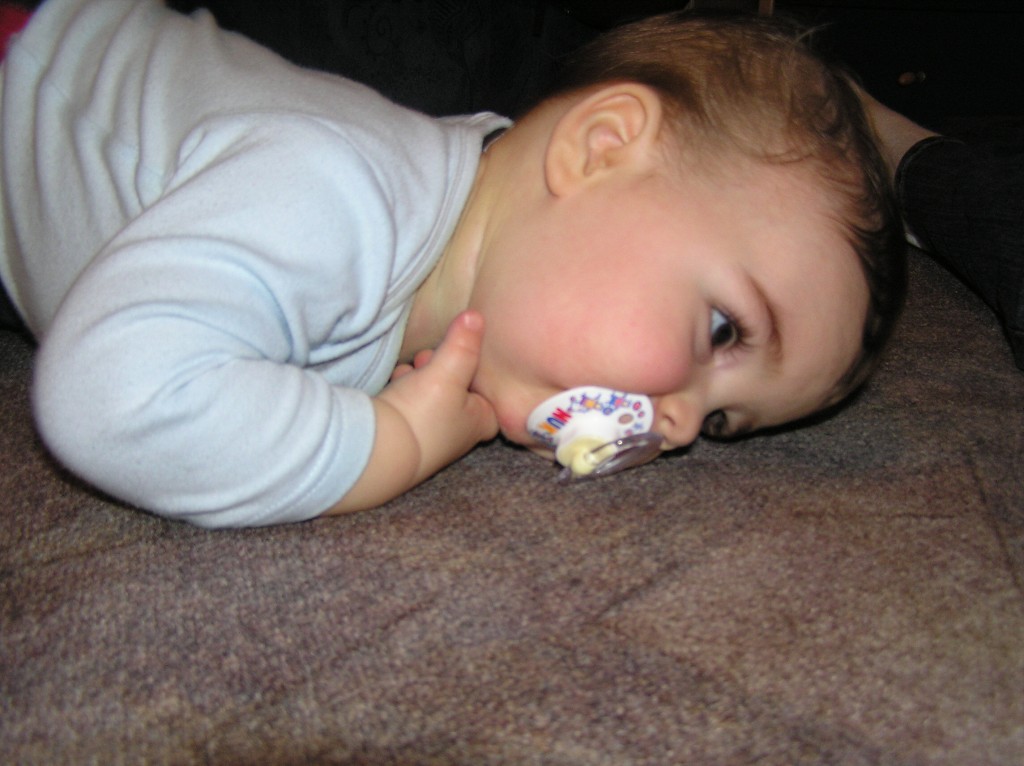 img00009.jpg