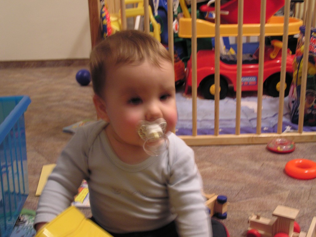 img00017.jpg