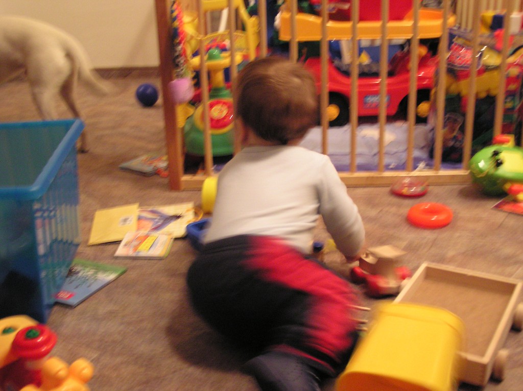 img00018.jpg