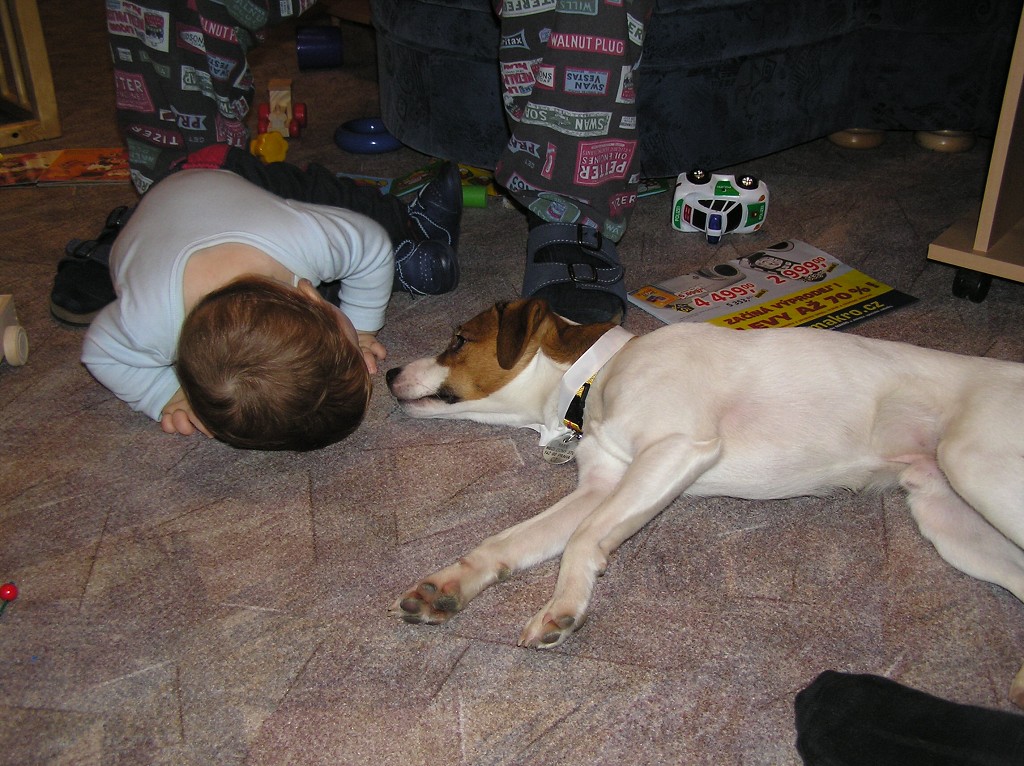 img00019.jpg