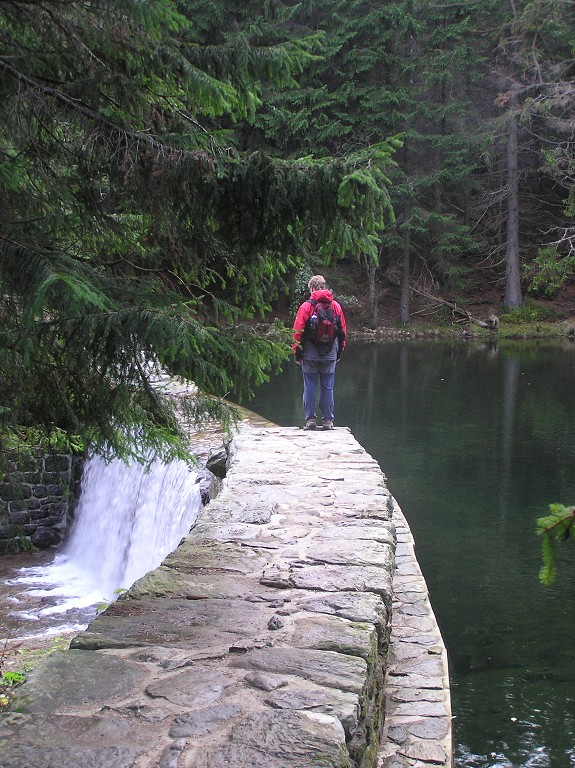 img00021.jpg