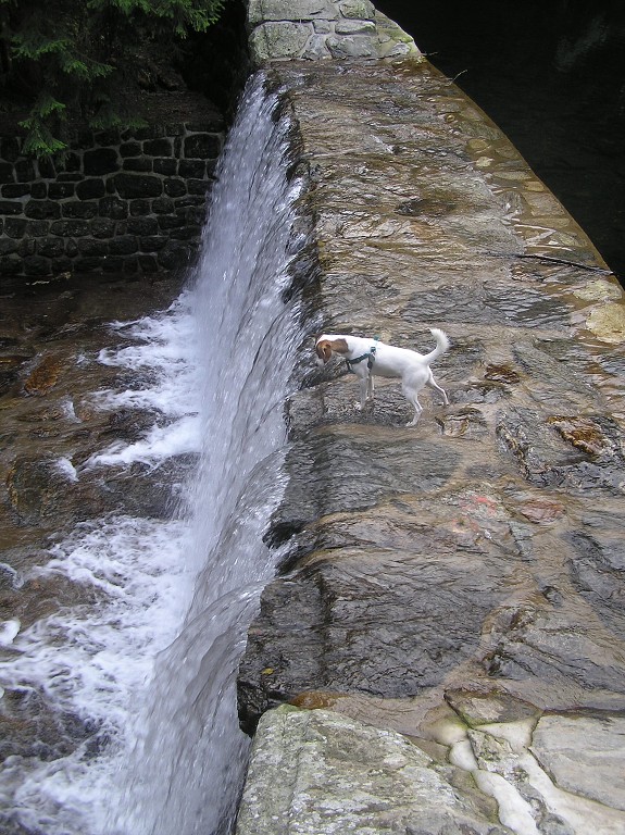 img00022.jpg