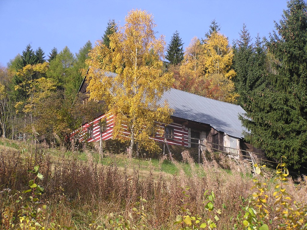 img00029.jpg