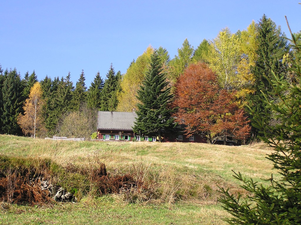 img00031.jpg