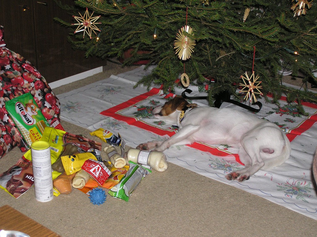 img00010.jpg