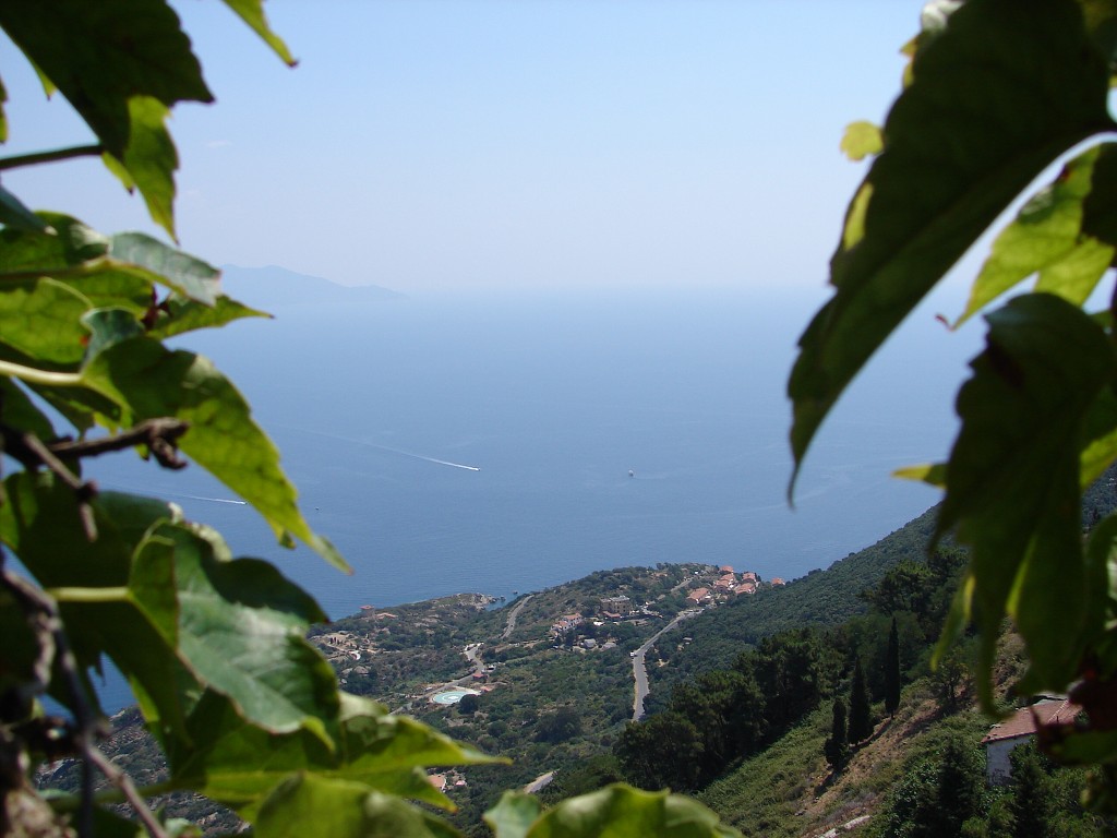 img00028.jpg