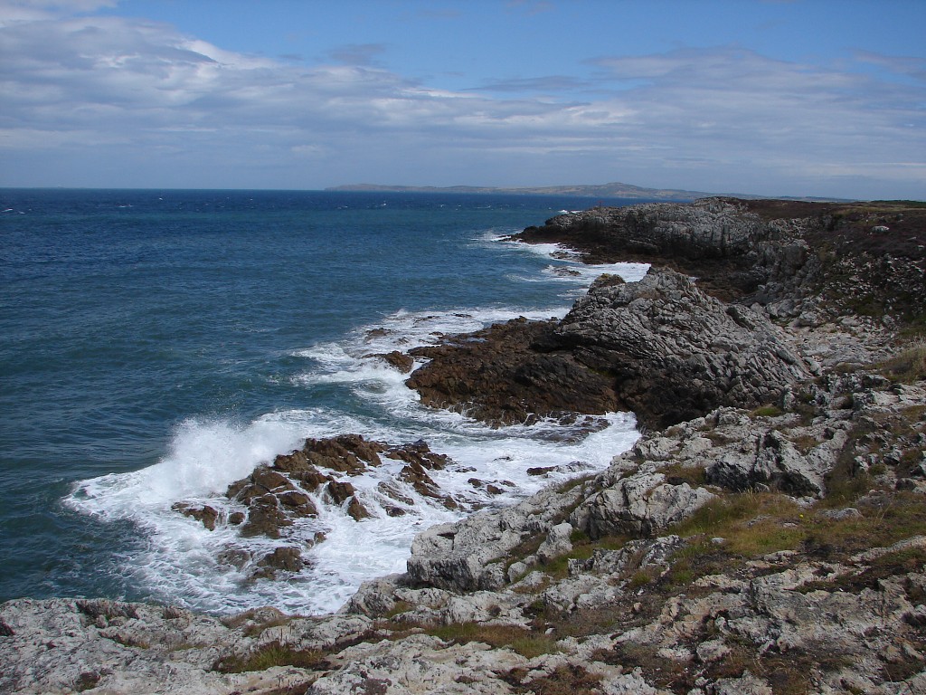 img00126.jpg
