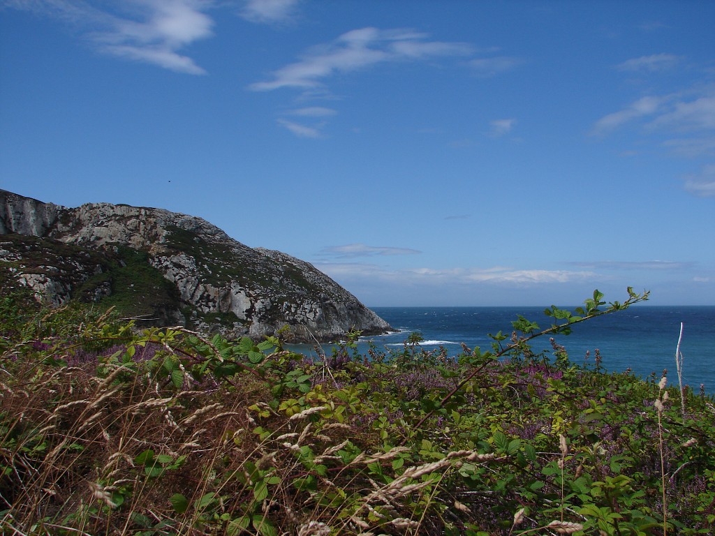 img00128.jpg