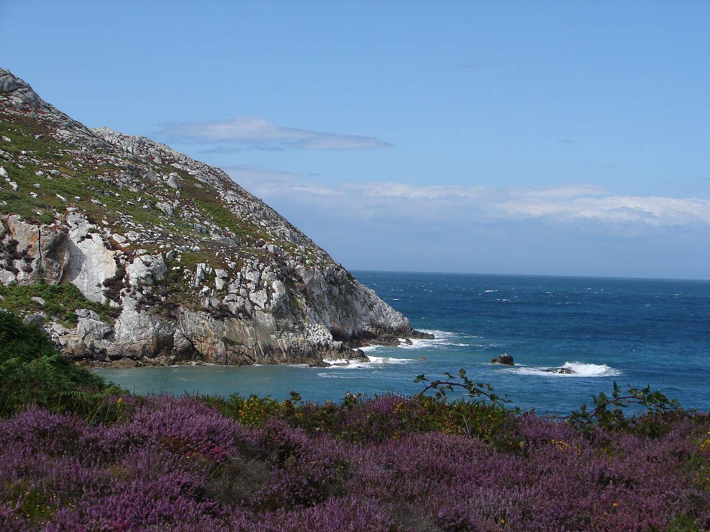 img00129.jpg