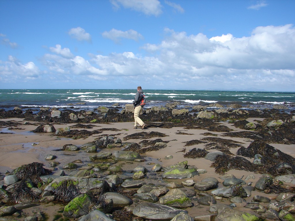 img00137.jpg
