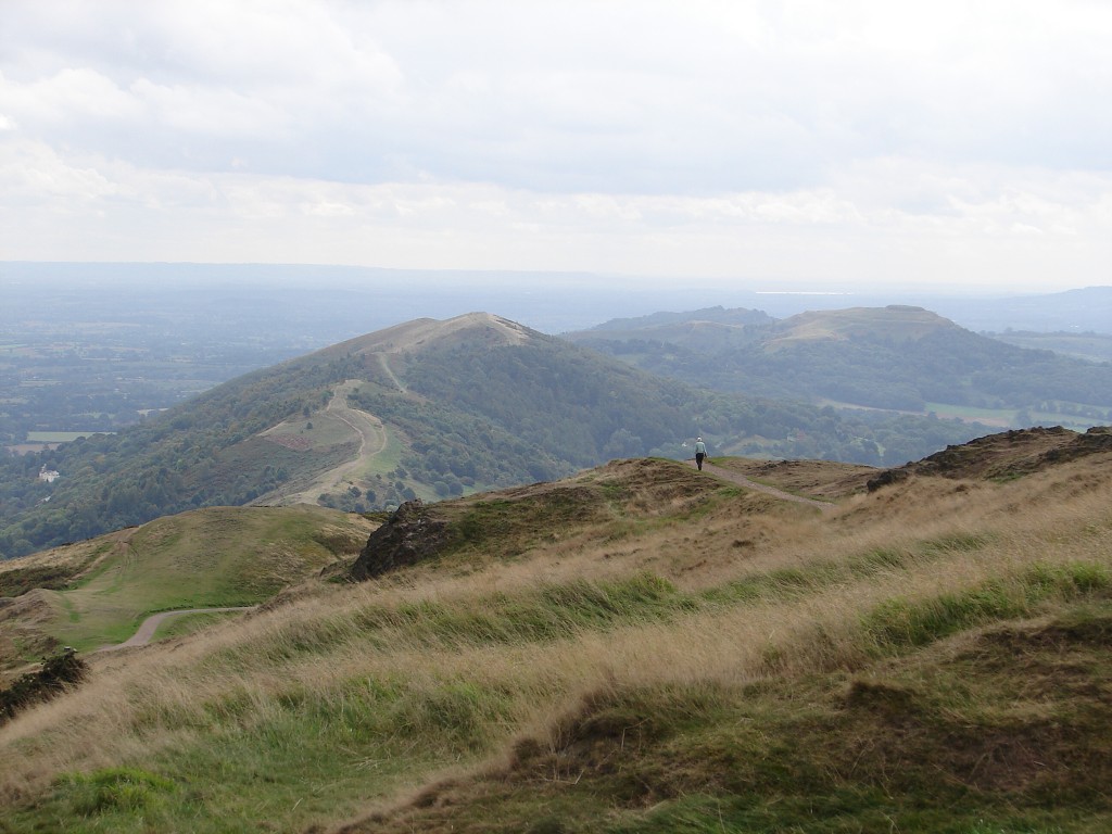 img00234.jpg