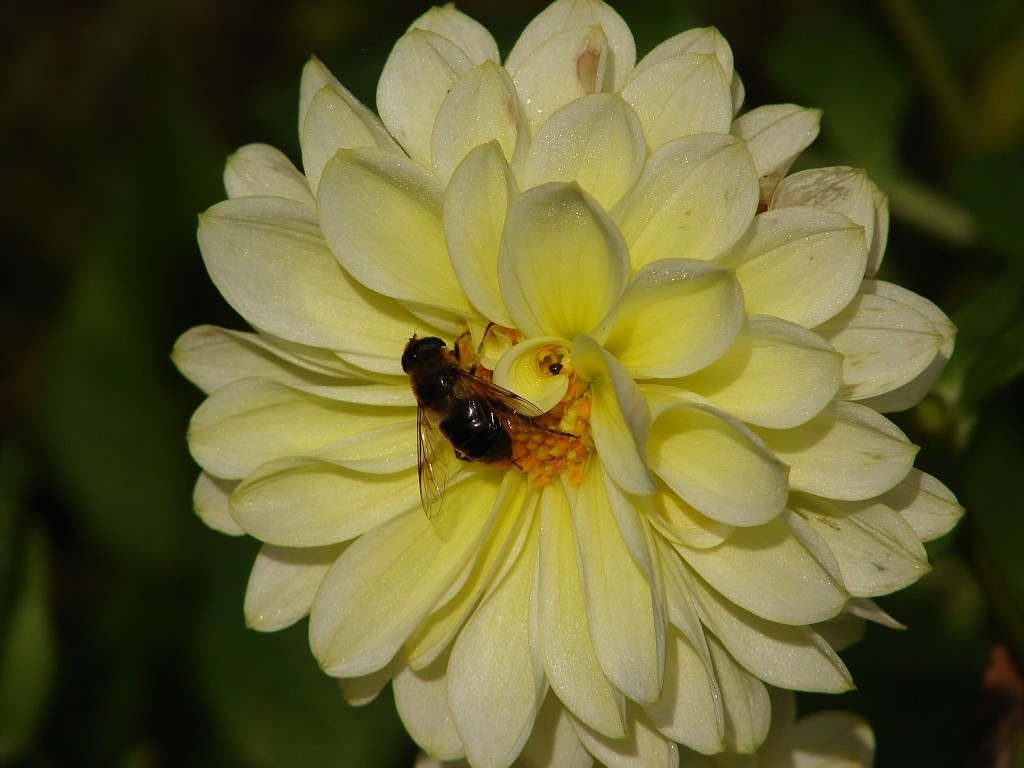img00256.jpg