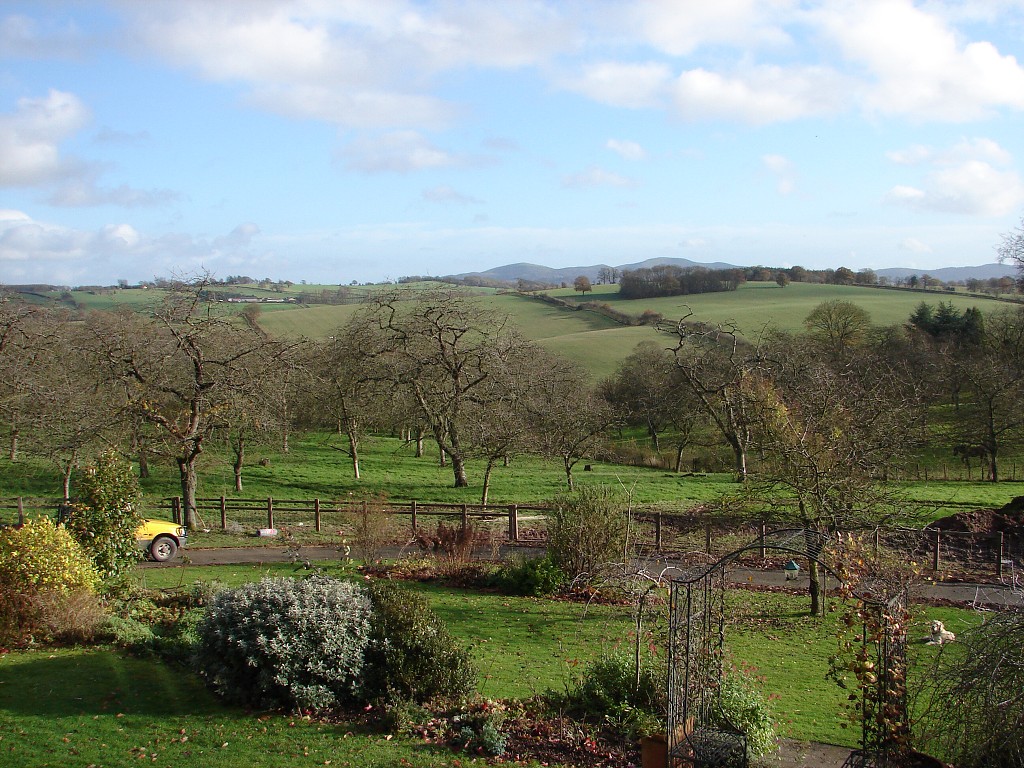 img00271.jpg