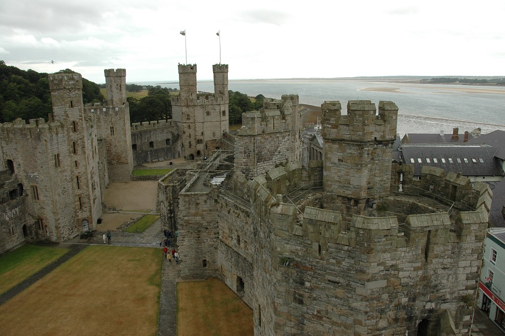 img00342.jpg