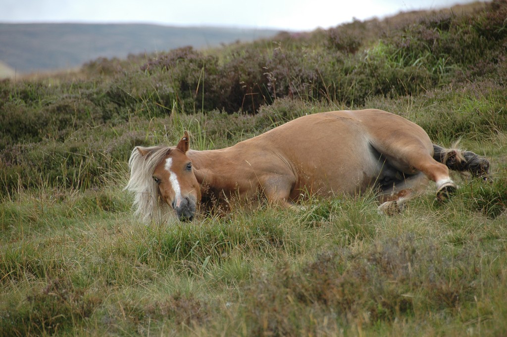 img00364.jpg