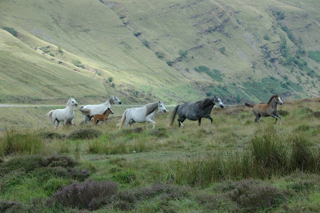 img00365.jpg