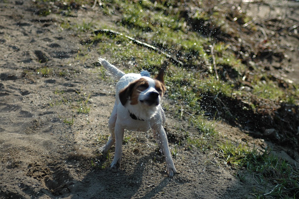 img00006.jpg